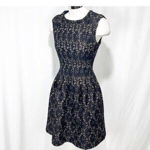 Anthropologie Navy Blue Floral Dot Fit-and-Flare Dress